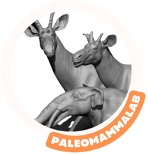logo paleomammalab